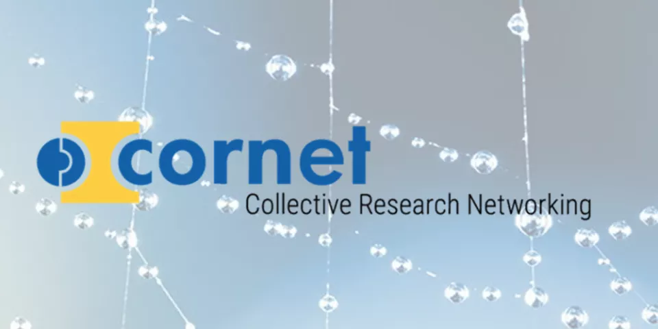 logo cornet met achtergrond spinnenweb